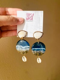 Image 1 of 🌊Ocean Cowrie Sea Shells🌊