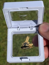 Image 22 of Golden Rutile & Hematite Star Specimen|Brazil #2932