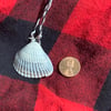 Sea Shell Necklace