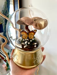 Mushroom globe 