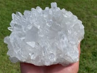Image 5 of Clear Quartz Points Cluster #1787