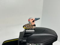 Image 4 of Northern Flicker Hotshoe Cover