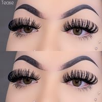 Tease Lashes