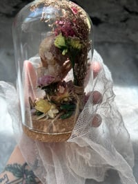 Image 4 of Raven skull 