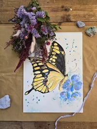 Image 5 of "Swallowtail" Original