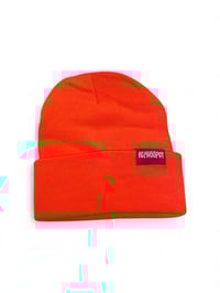 Image of Beanies