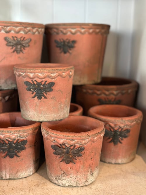 Image of Bee Terracotta Pot Round