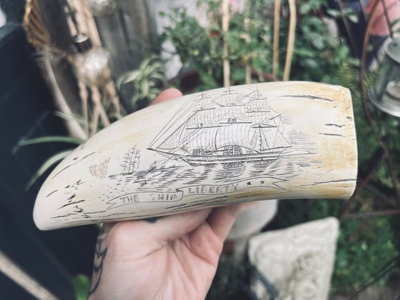 Image of Replica Scrimshaw