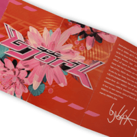 Image 5 of Björk - Post
