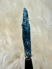 Image 8 of Ocean Kyanite Harts Range | NT Australia #2886