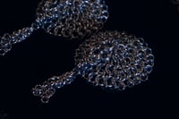 Image 1 of Seductress Shields