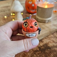 Image 2 of Mme Pumpkin Ginette 2