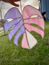 Image 3 of **PRE-ORDER** Large Monstera Leaf - Price varies on type of glass 