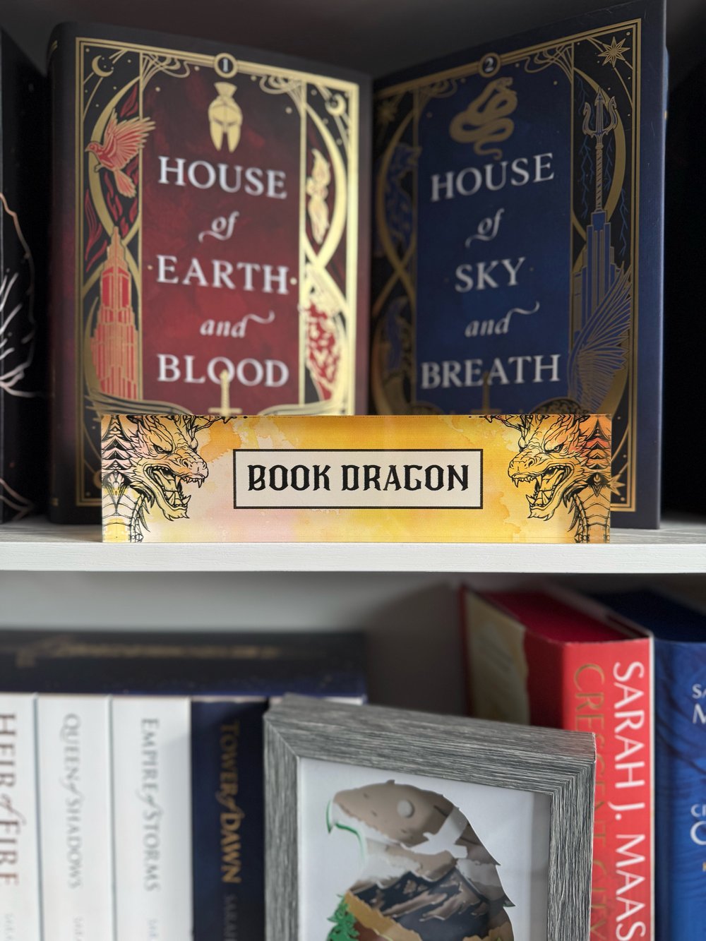 Image of Book Worm/ Book Dragon Library Shelf Sign