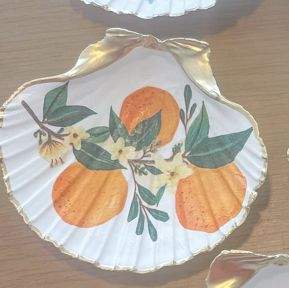 Image of Old Florida | Medium Trinket Shell