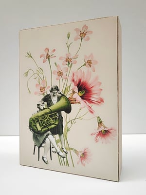 Image of Concierto entre las flores.