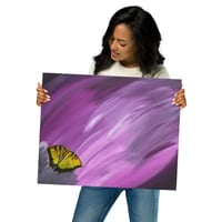 Image 3 of Butterfly Journey - Metal Prints
