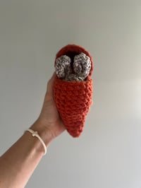 Image 3 of Hatching Carrot Bunny