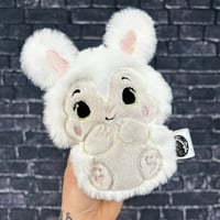 PEANUT- Cotton