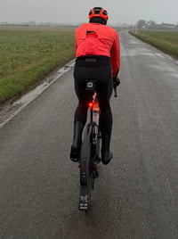 Image 2 of Swifts OG Duck Flap