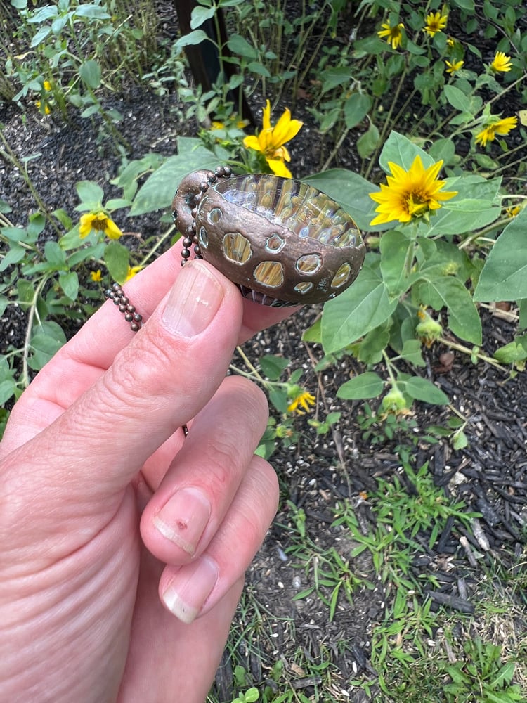 Image of Seeds of the pine pendant 
