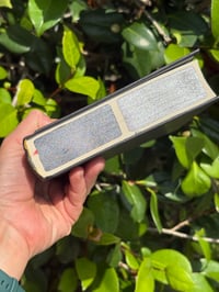 Image 3 of SITV Metallic Solid Edge Spray