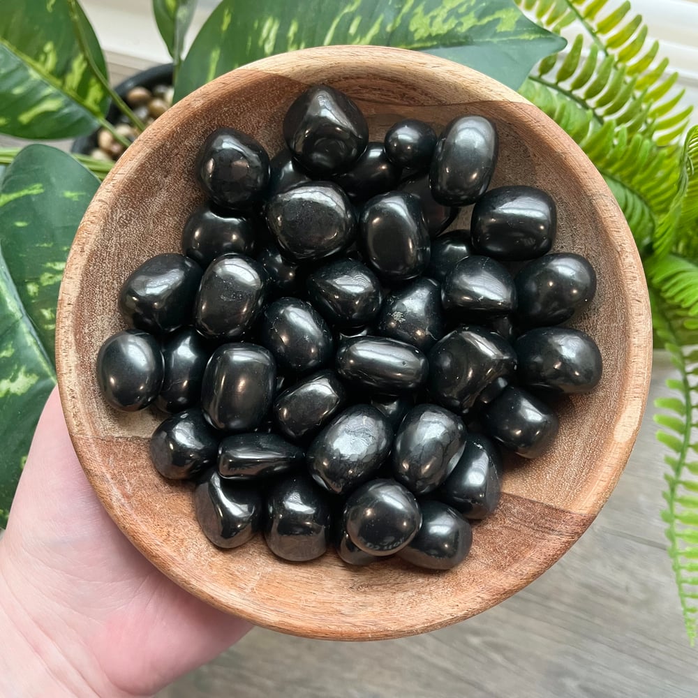 Shungite Tumble
