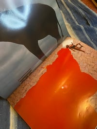 Image 3 of Alternates, Kazumi Kurigami, 1984.