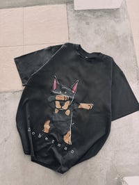 Image 2 of Doberman Dog