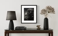 Image 2 of “Ravens Eye”