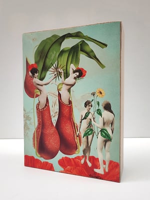 Image of Renacimiento.