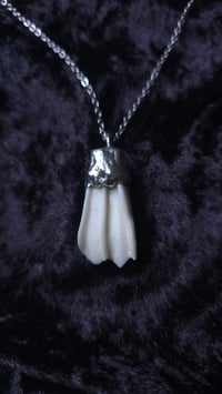 Image 7 of Sheep tooth necklace