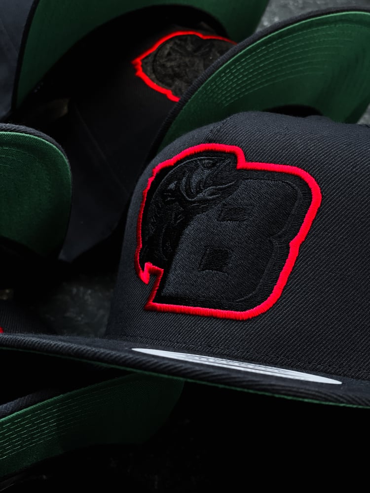 Image of THE METRO SNAPBACK