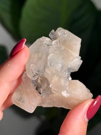 Image 3 of BOWTIE STILBITE X DIAMOND APOPHYLITE -INDIA- K