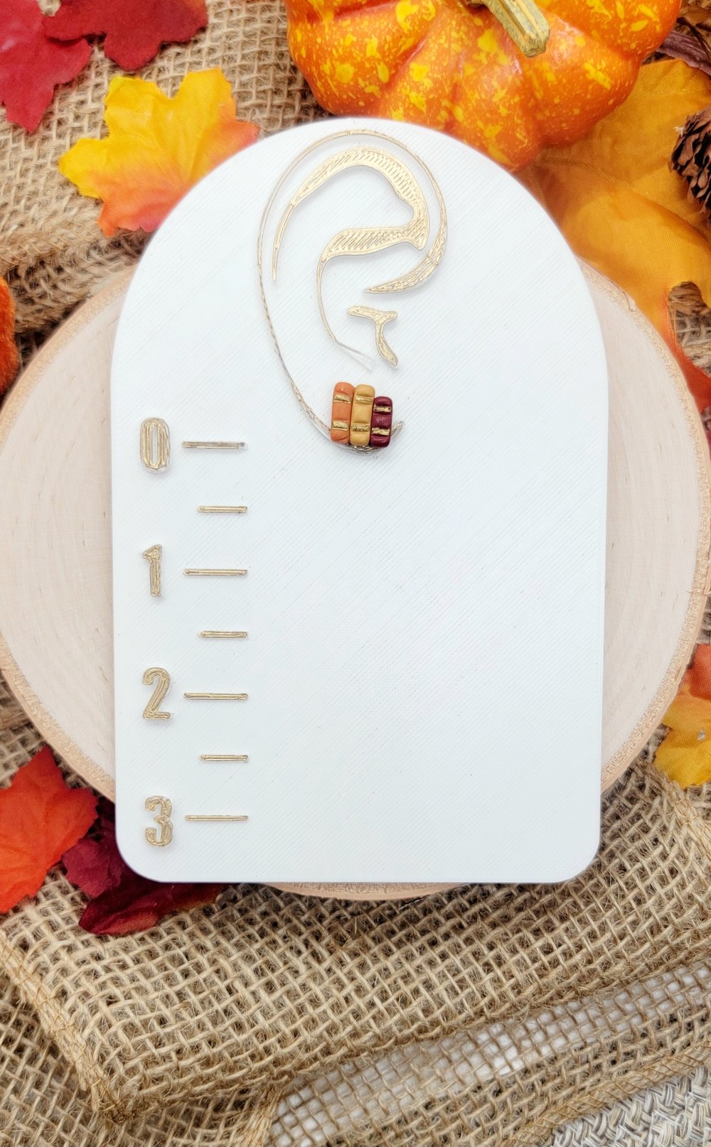 Image of Fall Book Stack Studs