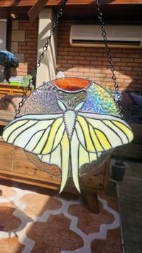 Image 1 of Day moth
