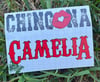 Chingona Nivel Camelia Car Decal