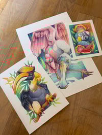 Bundle tropical birds