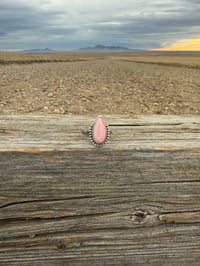 Image 2 of The Prairie Rosette