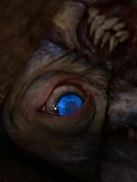 Image 7 of Custom commission iPhone 17 Pro Max Ed Gein phone cover