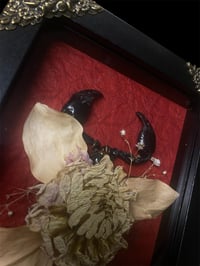 Image 2 of Memorial of a Scorpion 