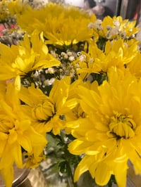 Image 1 of 🌼✨ Golden Light Bloom (LOCAL ONLY!)