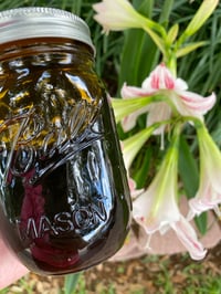 Image 1 of honey / miel 