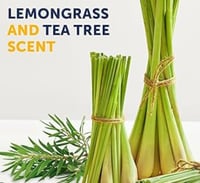 Lemongrass and Tea Tree Soap