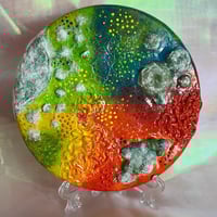 Image 1 of Rainbow Mold 