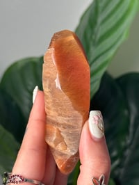 Image 3 of RED HAIR RUTILE AMPHIBOLE FREEFORM -BRAZIL- B