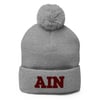 AIN Pom-Pom Embroidered Beanie