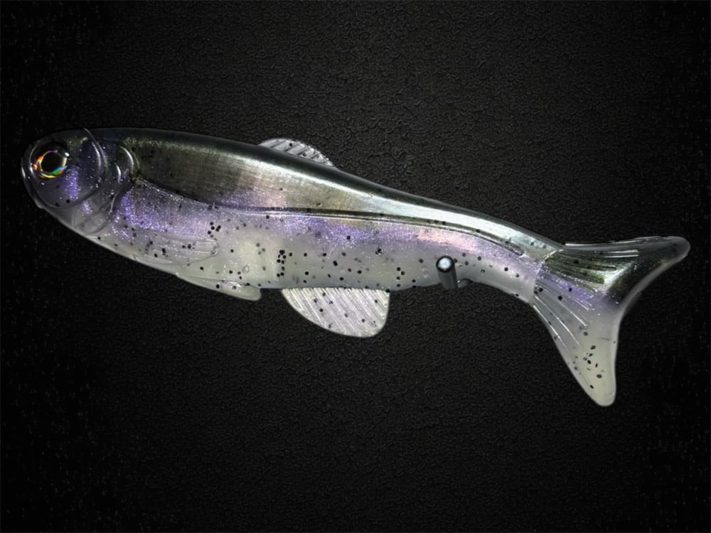Roma Trout Custom:  Cali Trout - Image 5