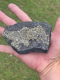 Image 8 of Shungite With Cubic Pyrite #569