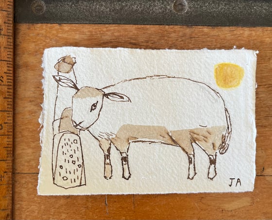 Image of Slightly cross ewe 